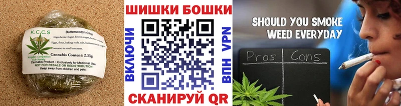 как найти закладки  Новошахтинск  Cannafood конопля 