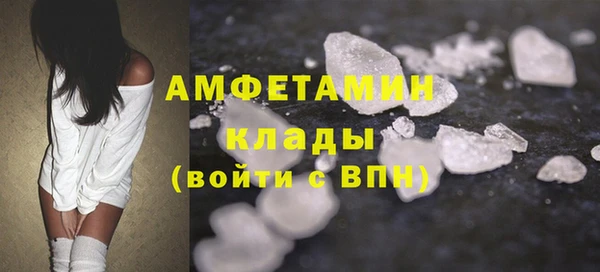 крисы Мегион
