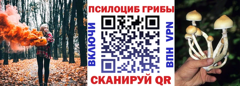 Псилоцибиновые грибы ЛСД  Новошахтинск 