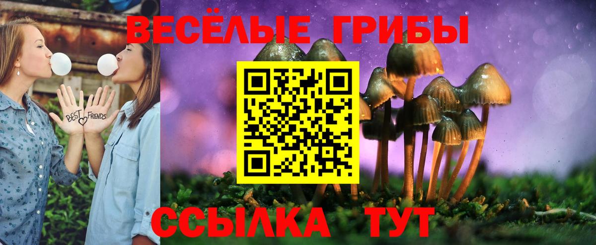 Псилоцибиновые грибы Cubensis Новошахтинск